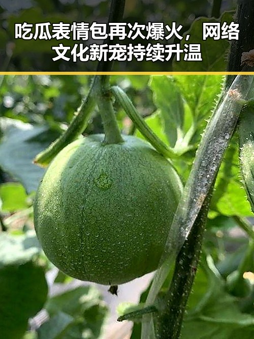 吃瓜表情包再次爆火，网络文化新宠持续升温
